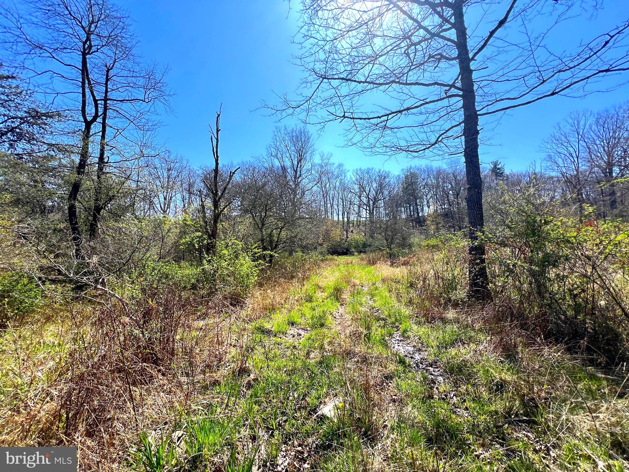 250 LOWER PINE GROVE ROAD