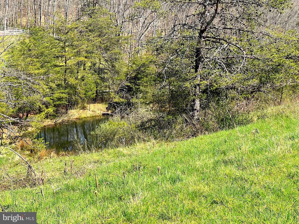250 LOWER PINE GROVE ROAD