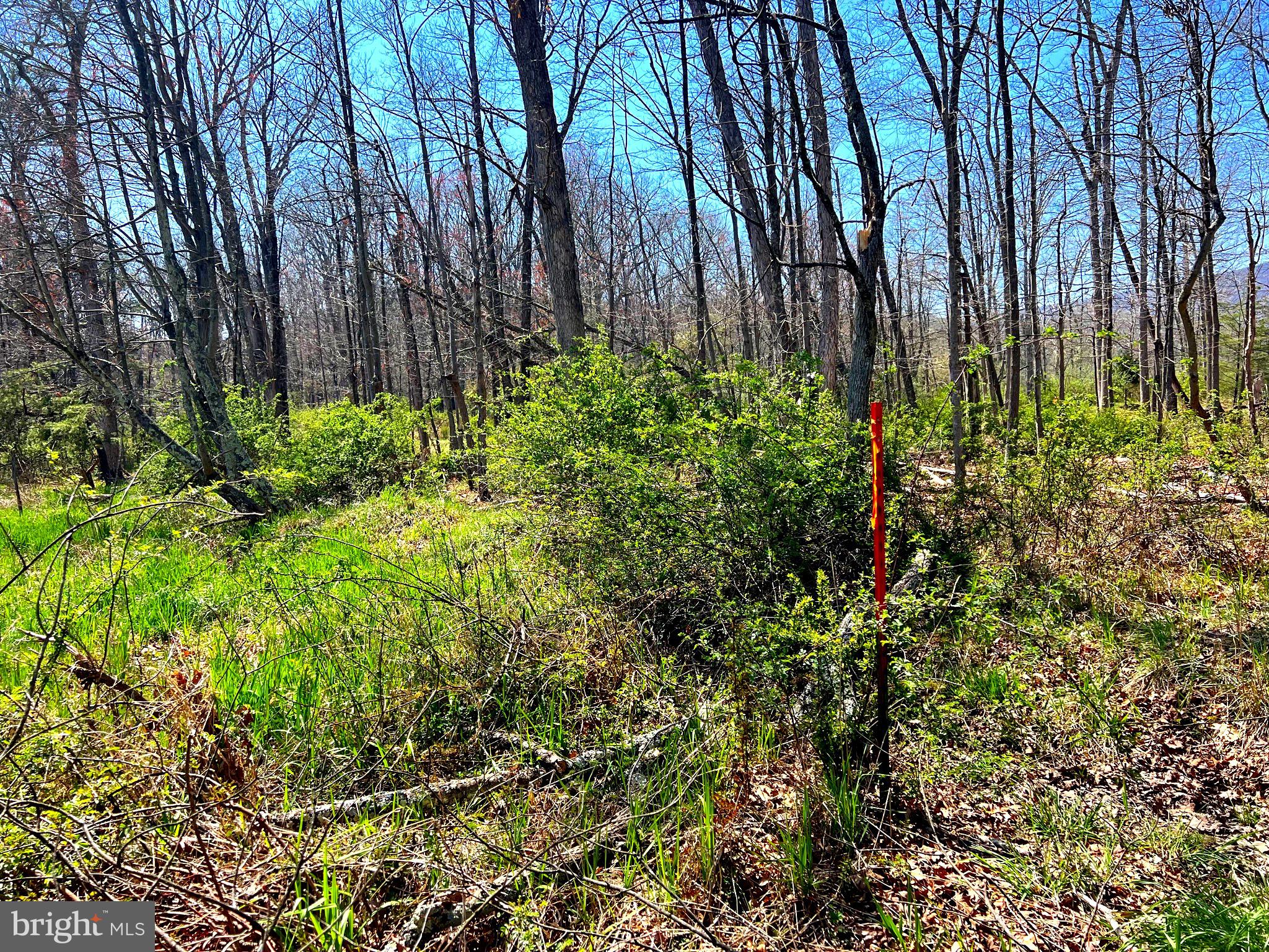 250 LOWER PINE GROVE ROAD