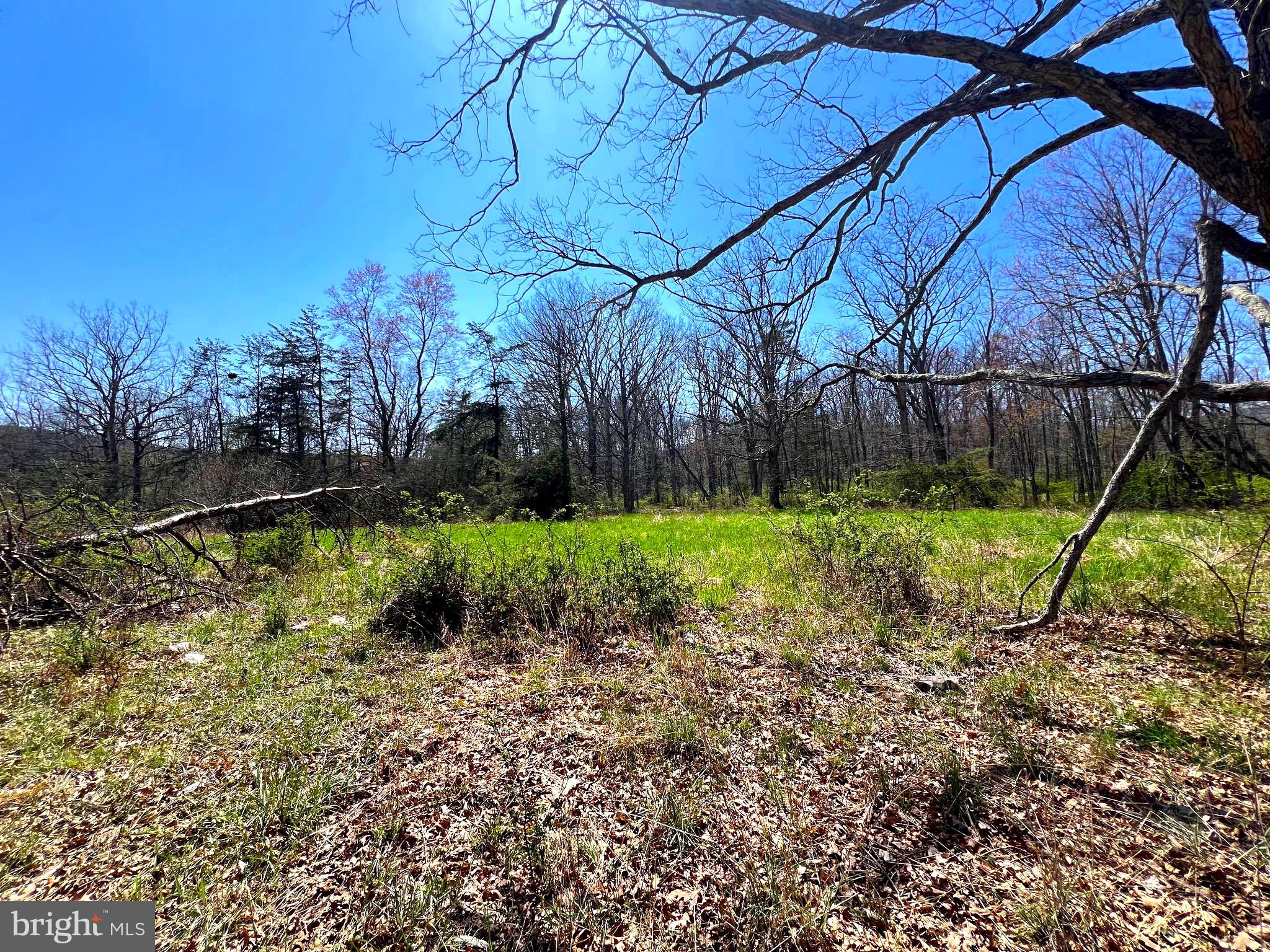 250 LOWER PINE GROVE ROAD