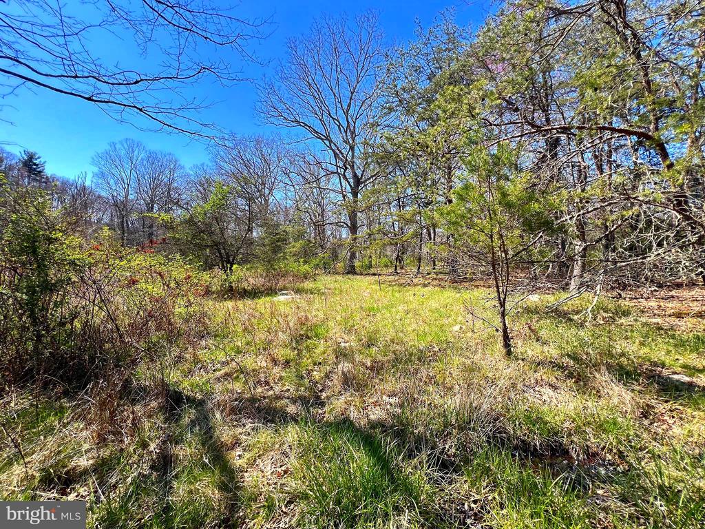250 LOWER PINE GROVE ROAD