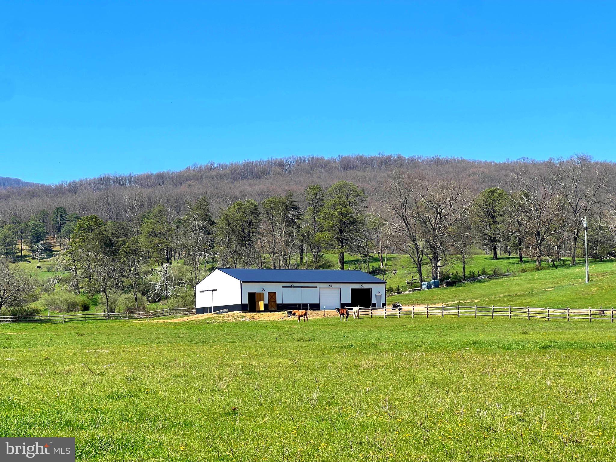 250 LOWER PINE GROVE ROAD