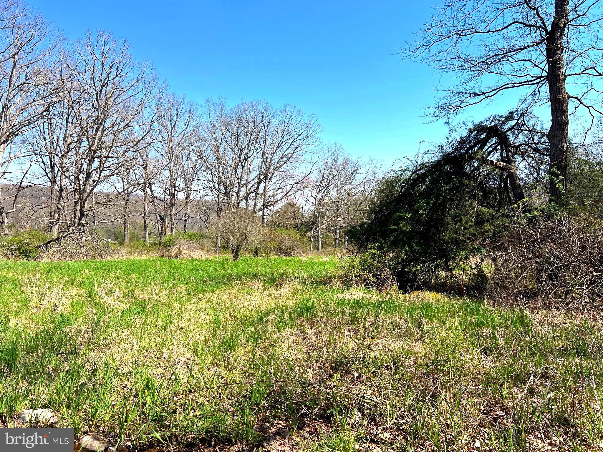 250 LOWER PINE GROVE ROAD