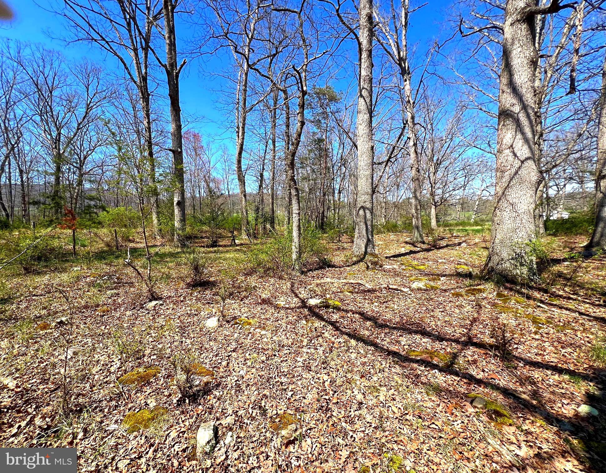 250 LOWER PINE GROVE ROAD