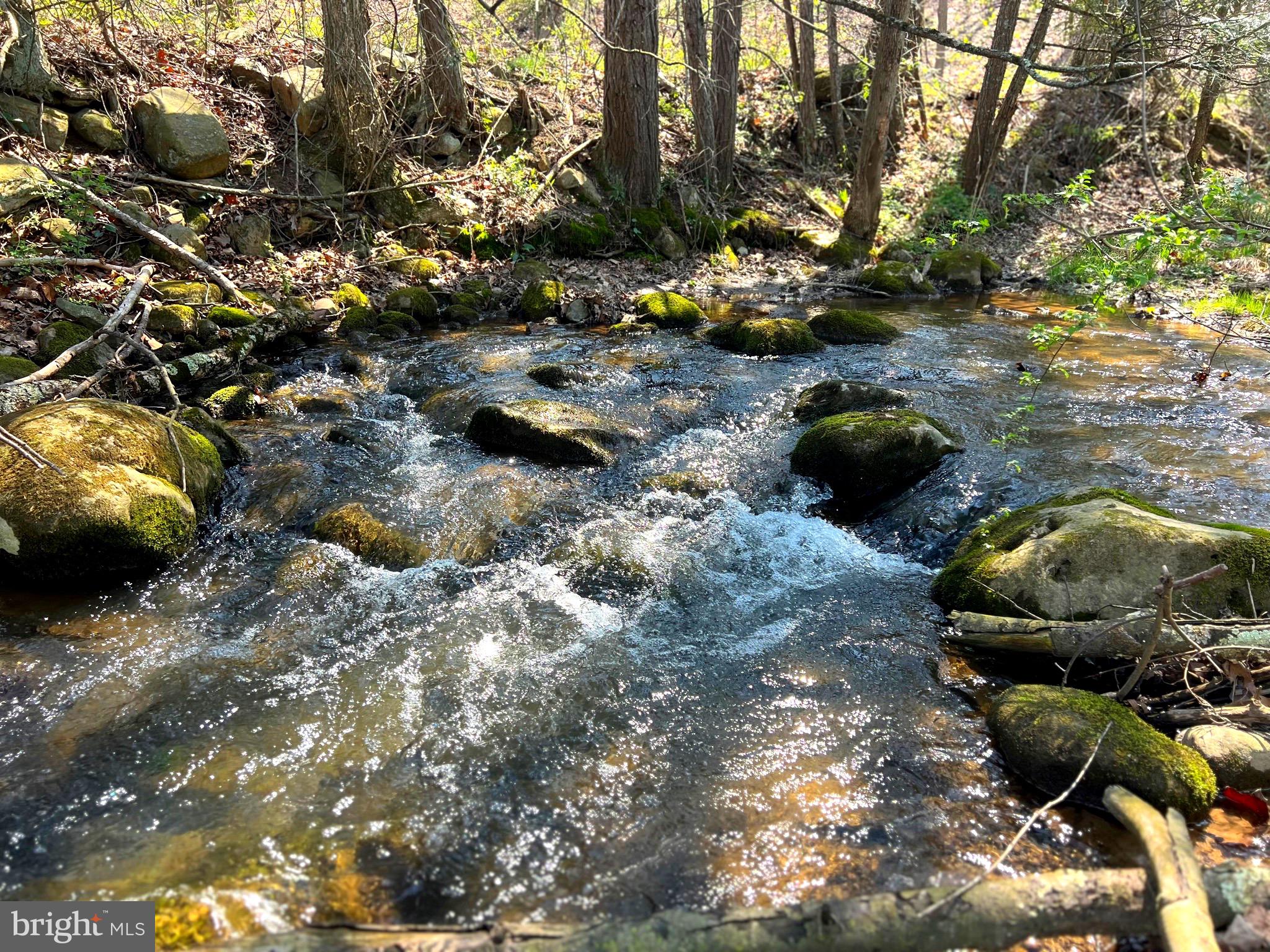 250 LOWER PINE GROVE ROAD