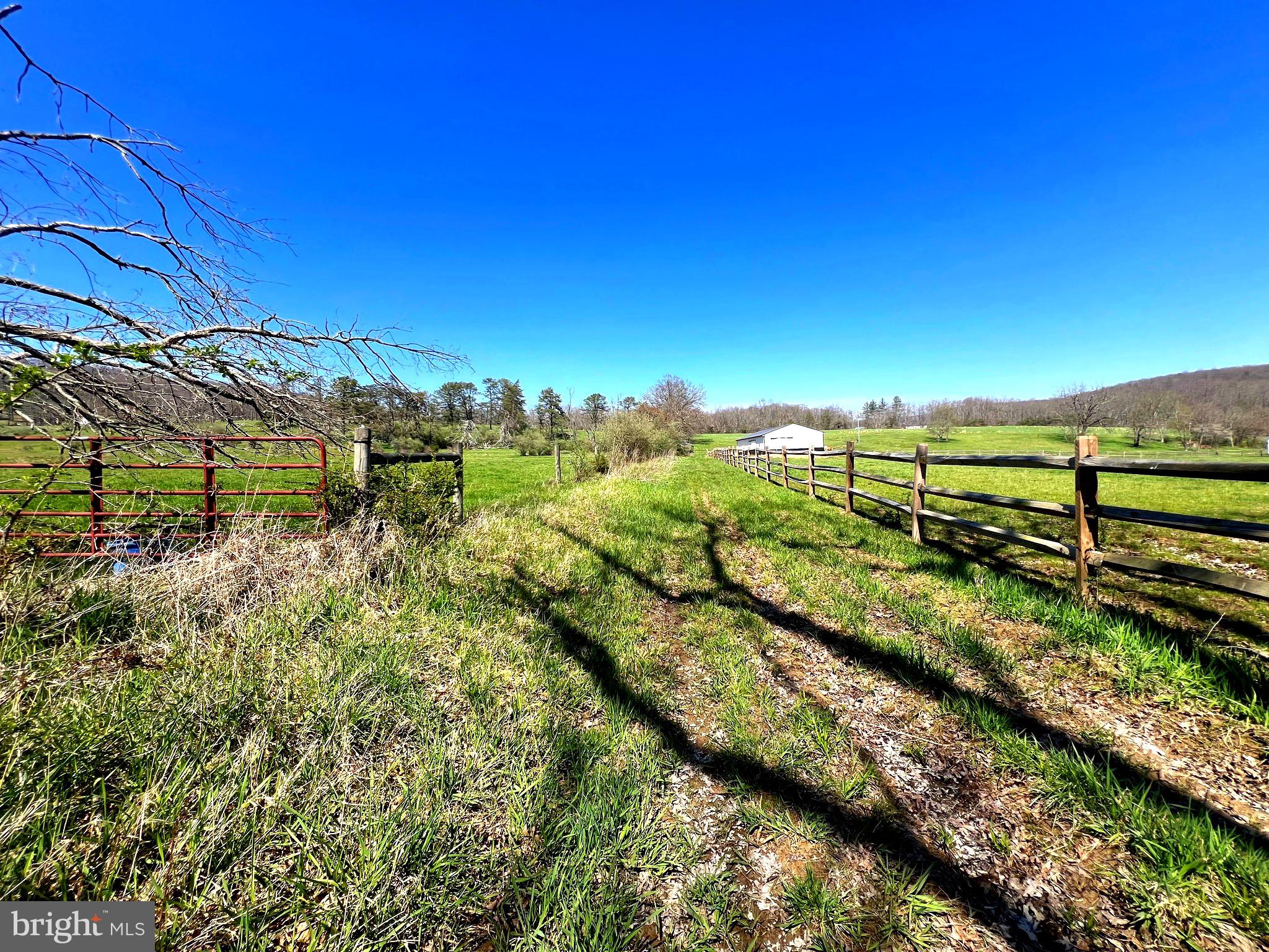 250 LOWER PINE GROVE ROAD