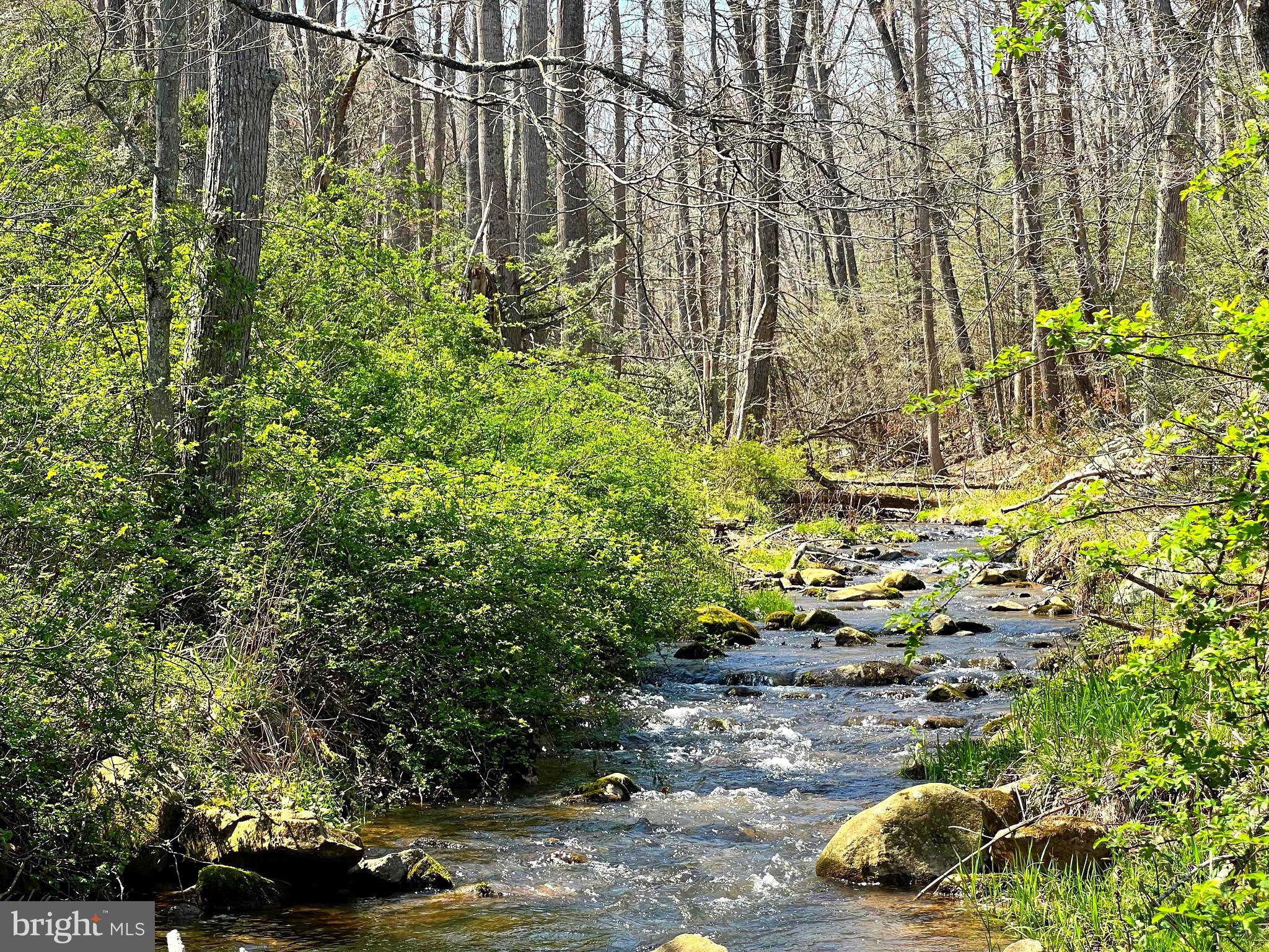 250 LOWER PINE GROVE ROAD