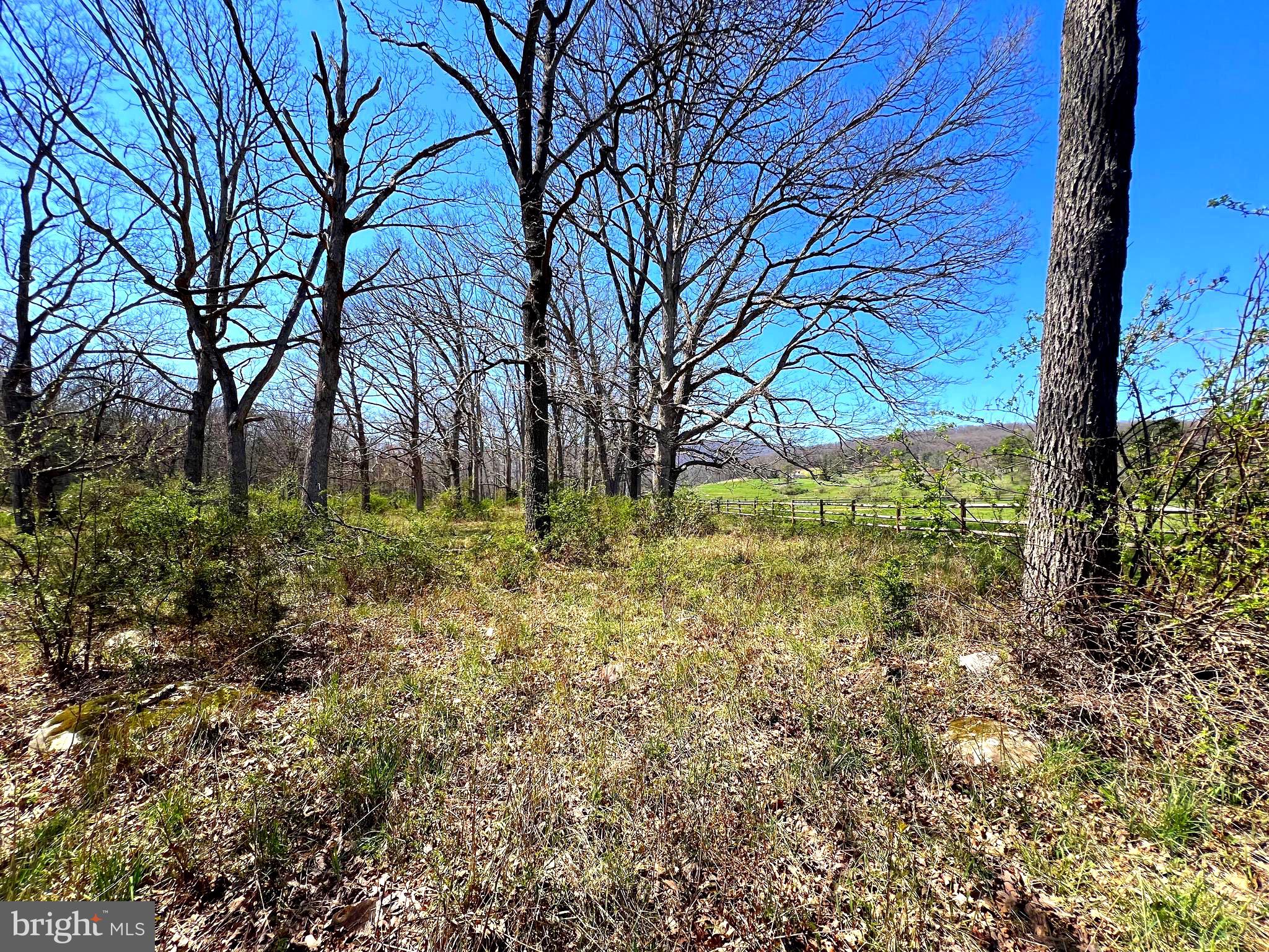 250 LOWER PINE GROVE ROAD