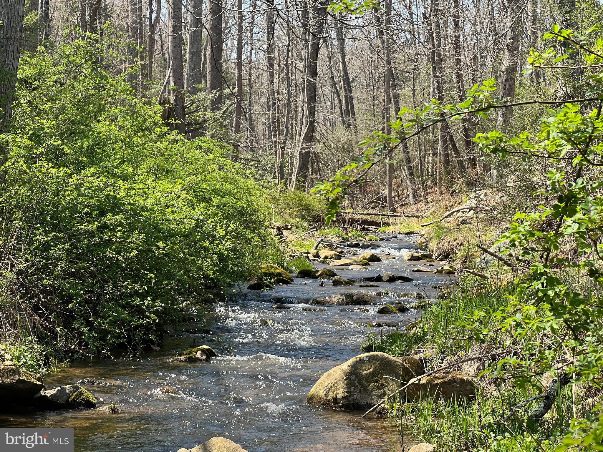 250 LOWER PINE GROVE ROAD