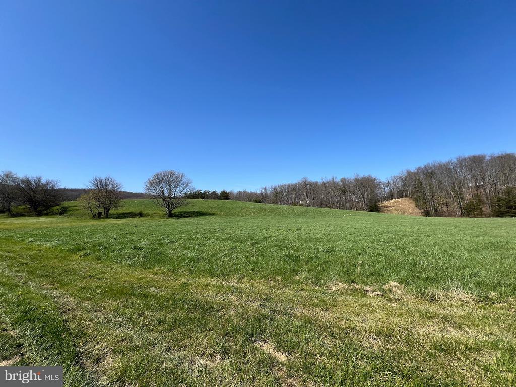 250 LOWER PINE GROVE ROAD