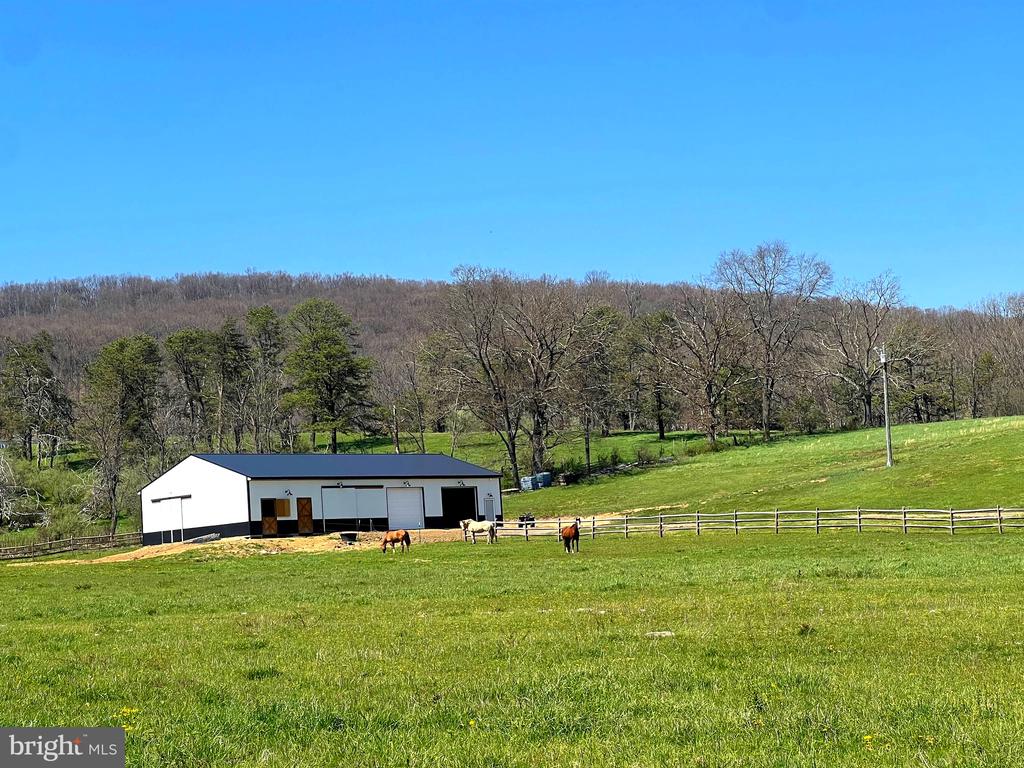 250 LOWER PINE GROVE ROAD