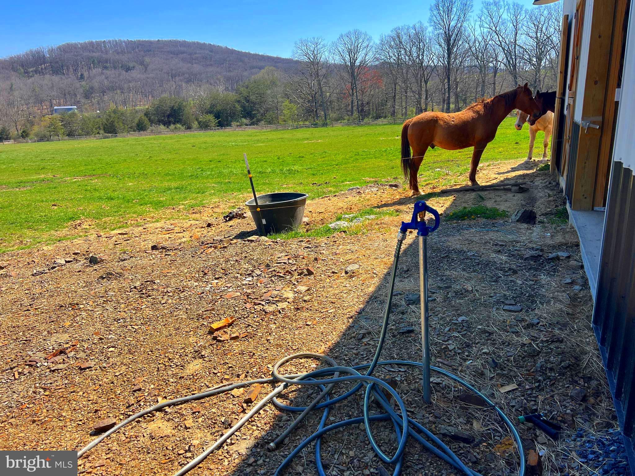 250 LOWER PINE GROVE ROAD