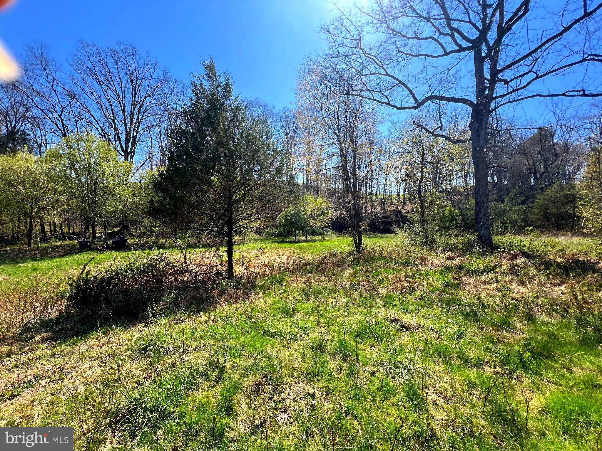 250 LOWER PINE GROVE ROAD