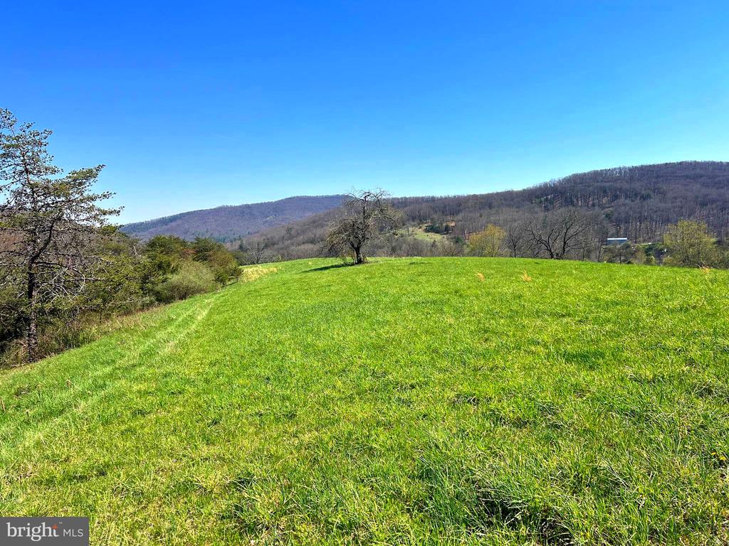 250 LOWER PINE GROVE ROAD