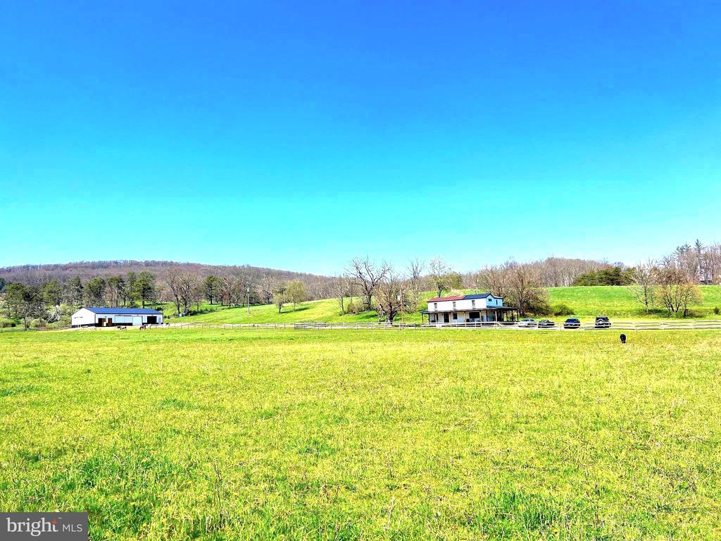 250 LOWER PINE GROVE ROAD