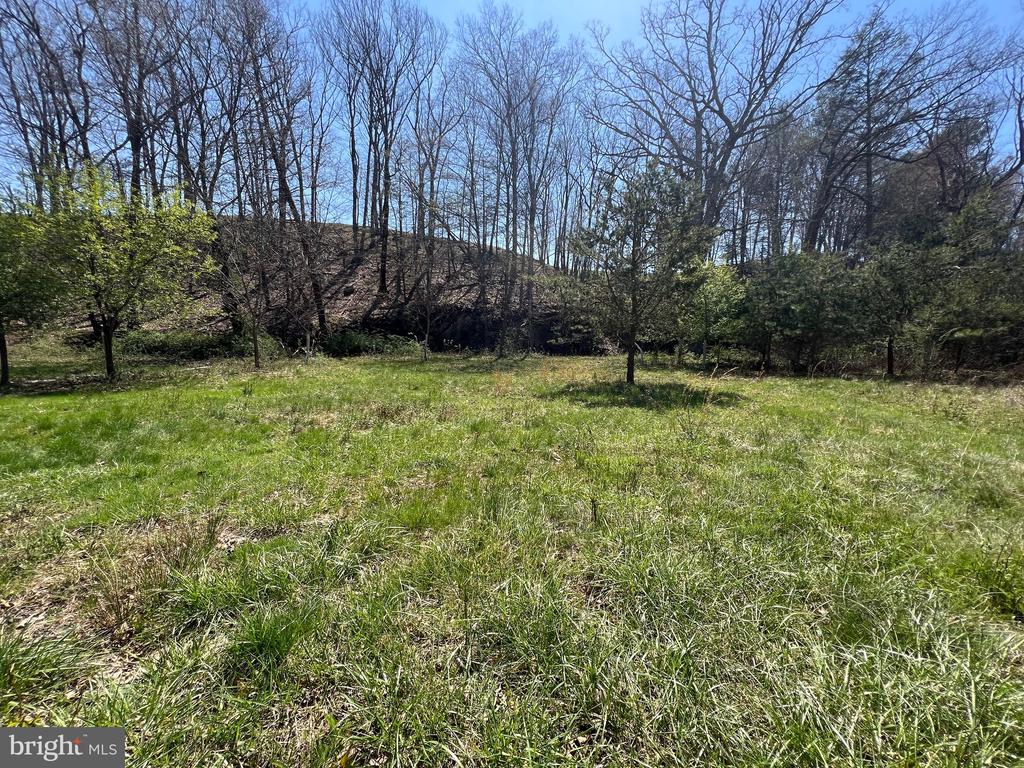 250 LOWER PINE GROVE ROAD