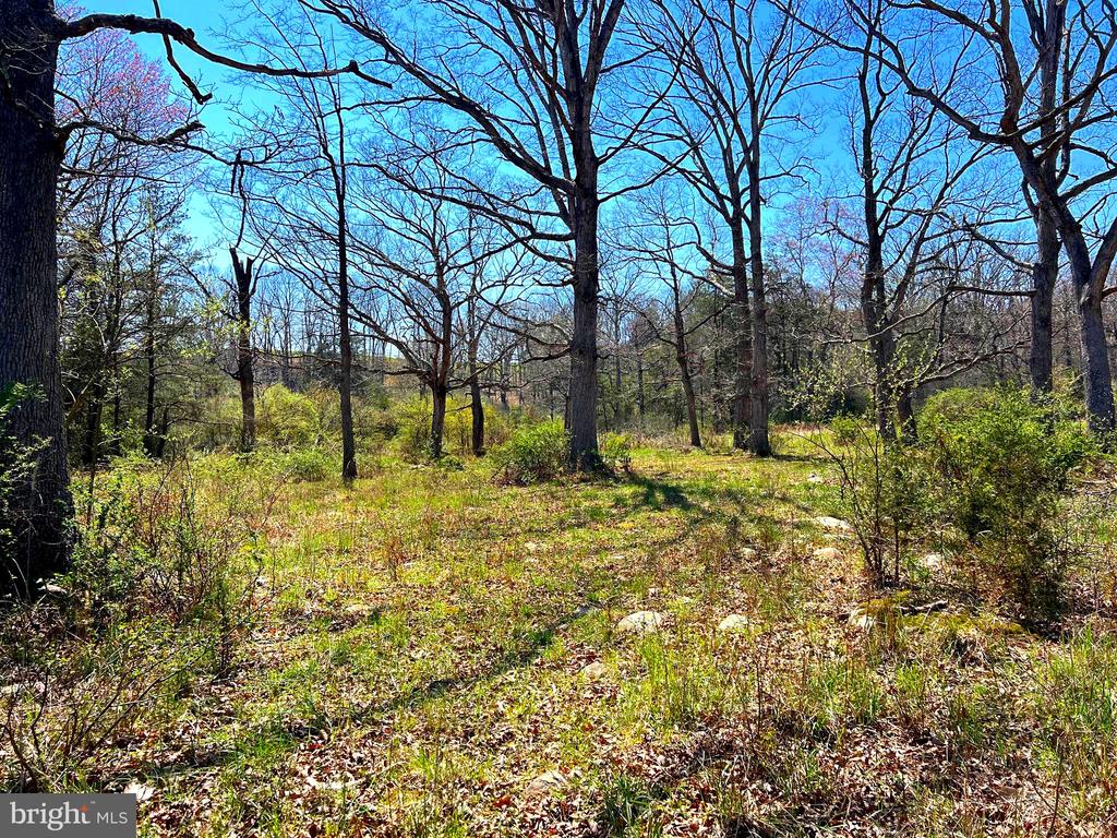 250 LOWER PINE GROVE ROAD