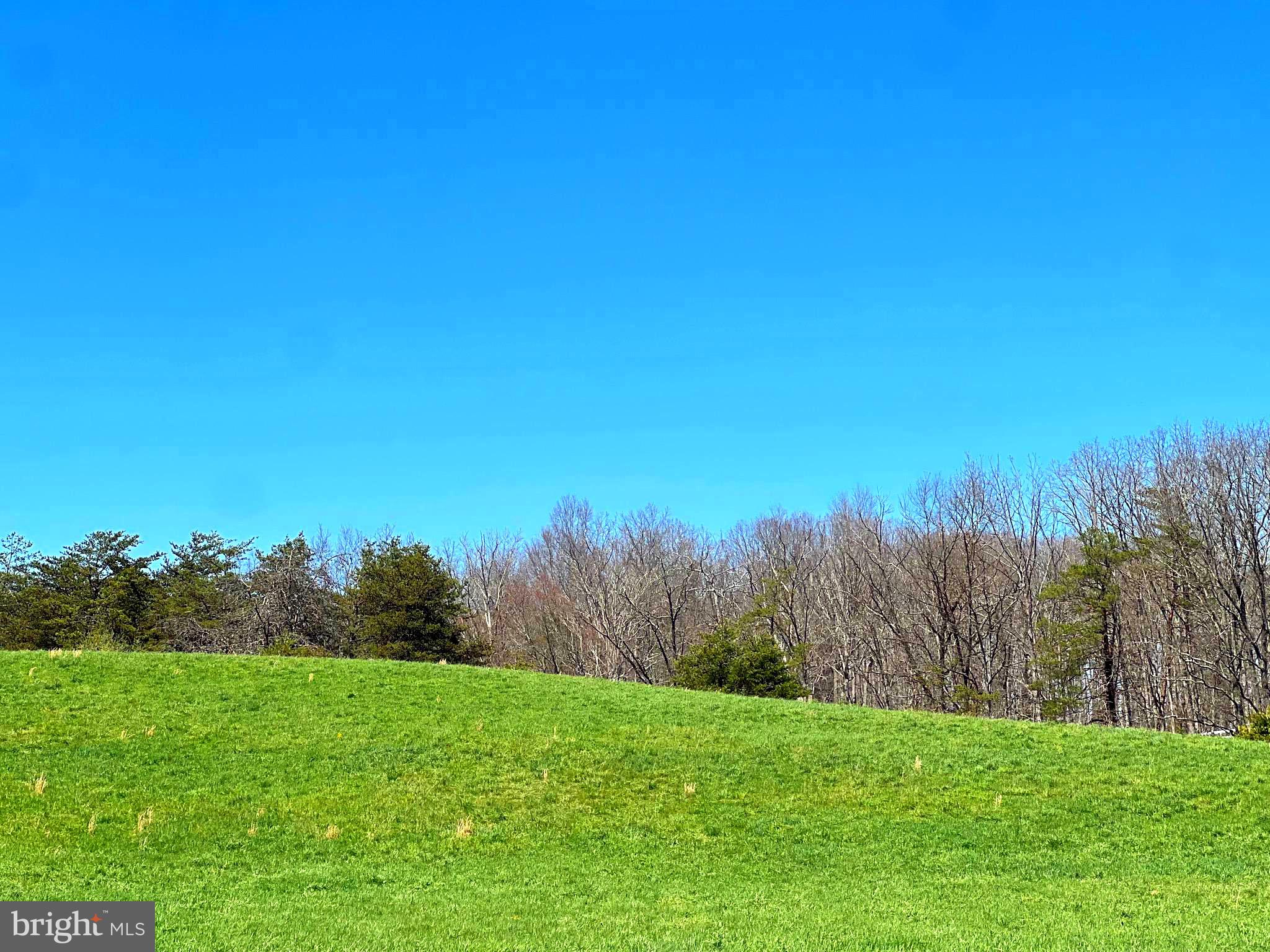 250 LOWER PINE GROVE ROAD