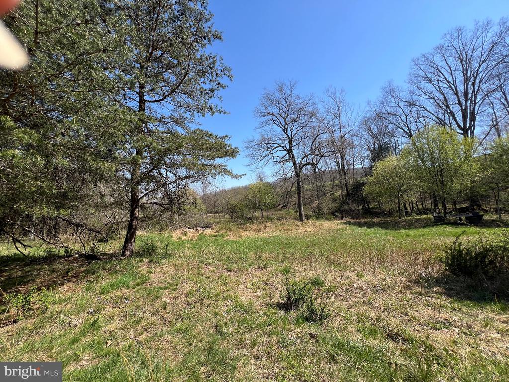250 LOWER PINE GROVE ROAD