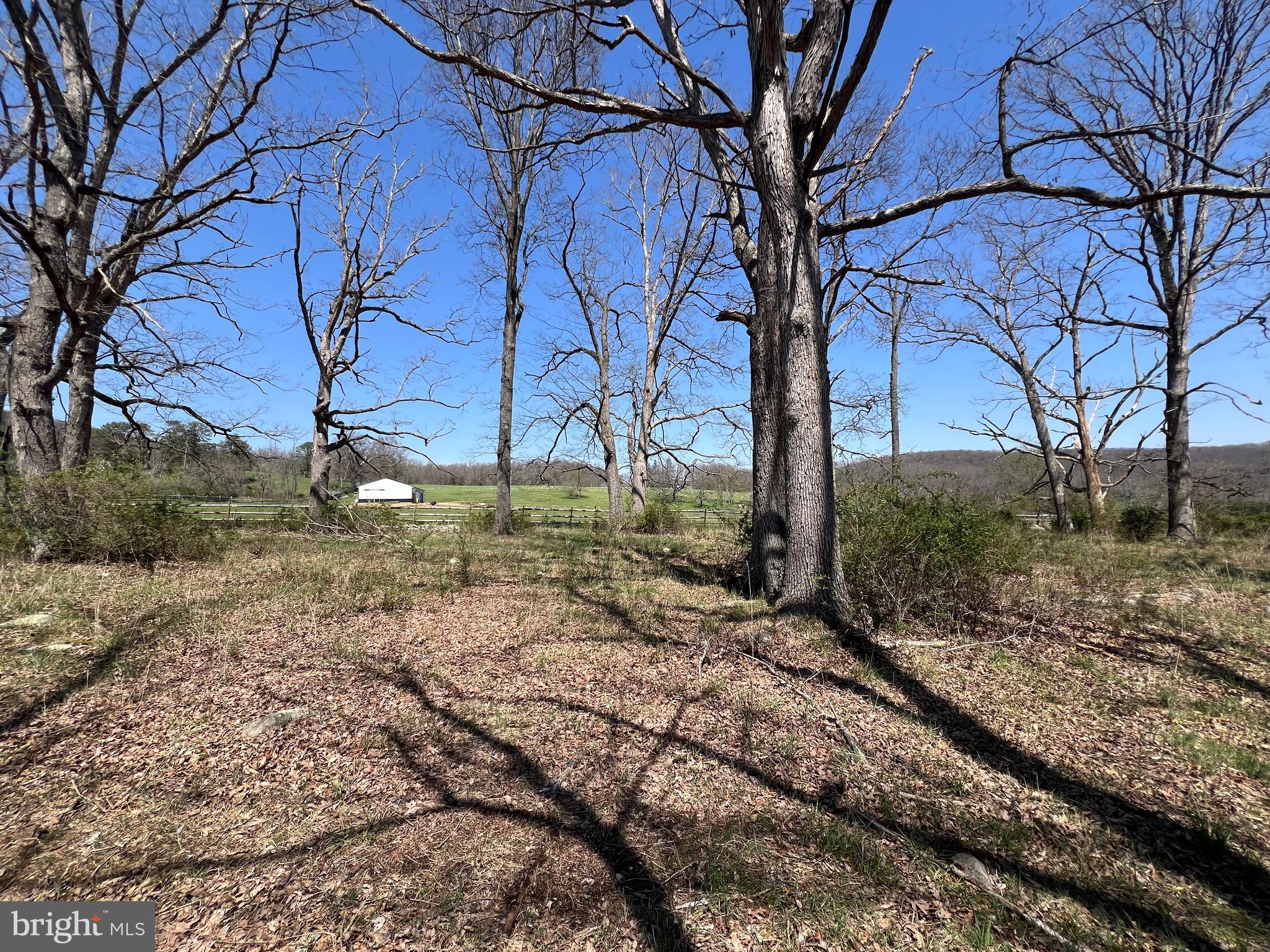 250 LOWER PINE GROVE ROAD