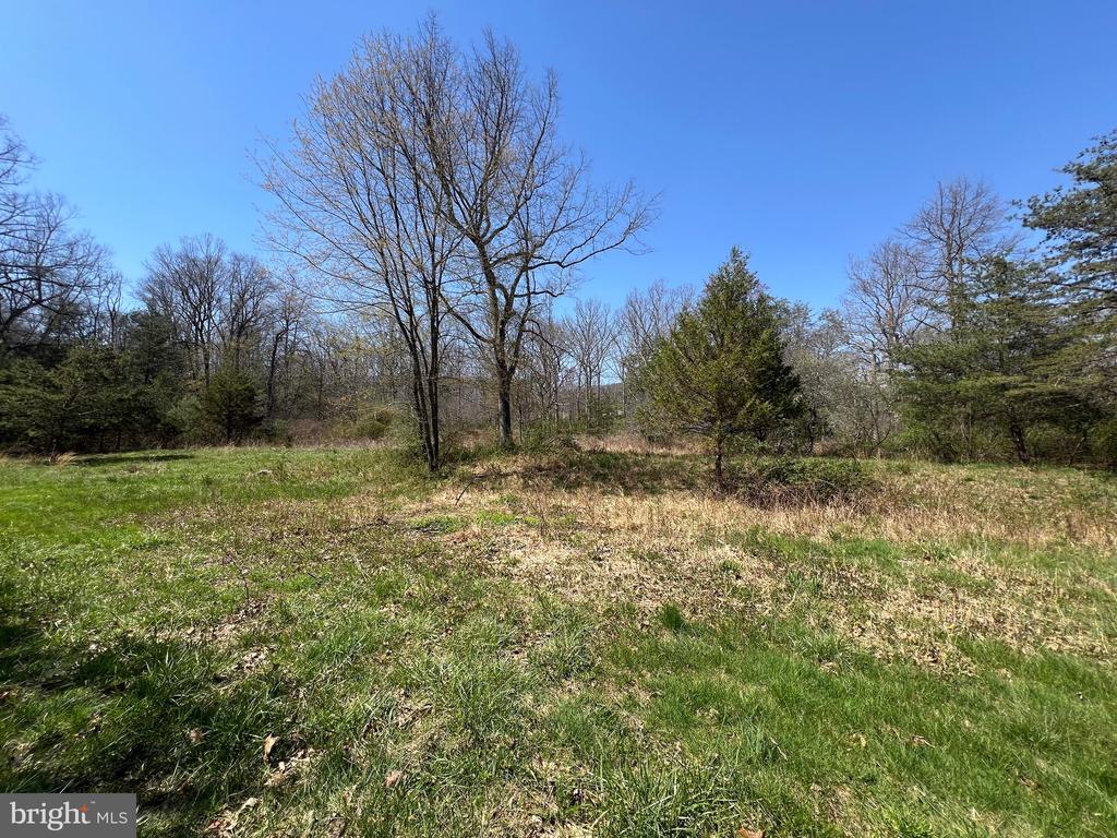 250 LOWER PINE GROVE ROAD