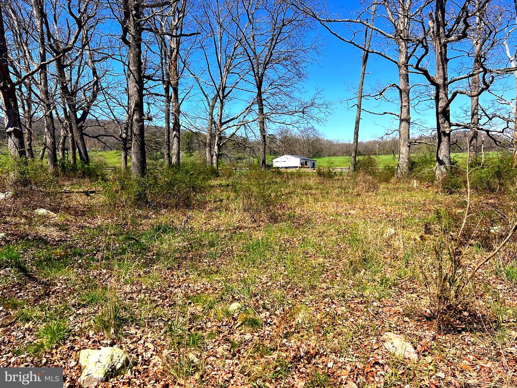 250 LOWER PINE GROVE ROAD