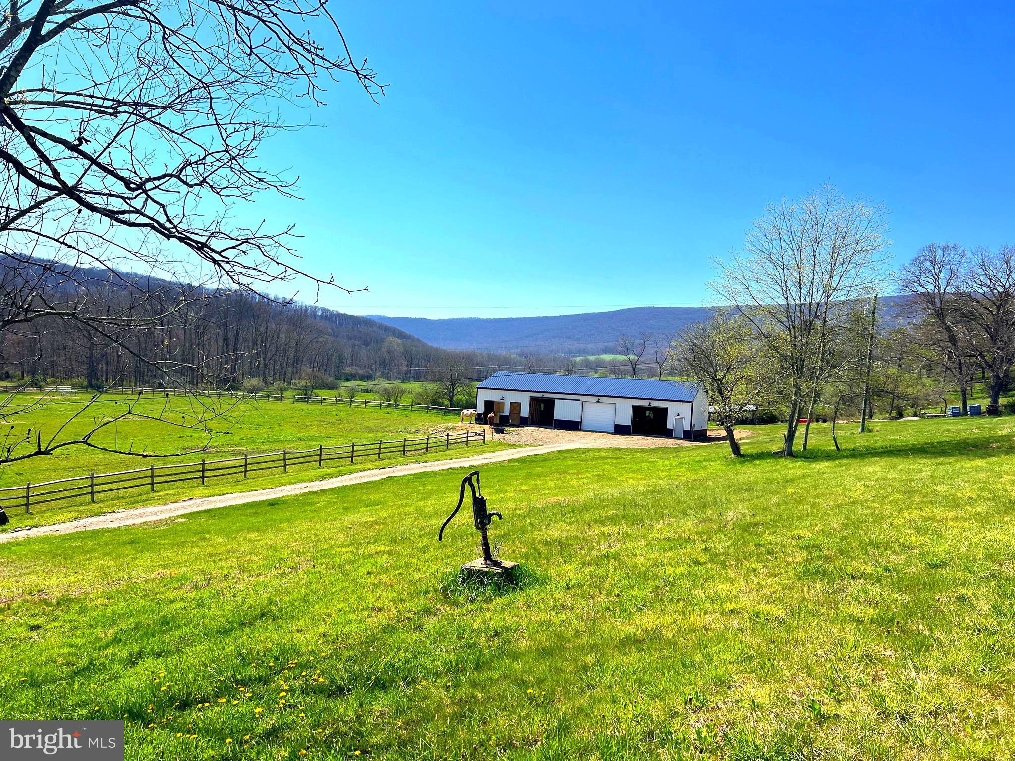 250 LOWER PINE GROVE ROAD