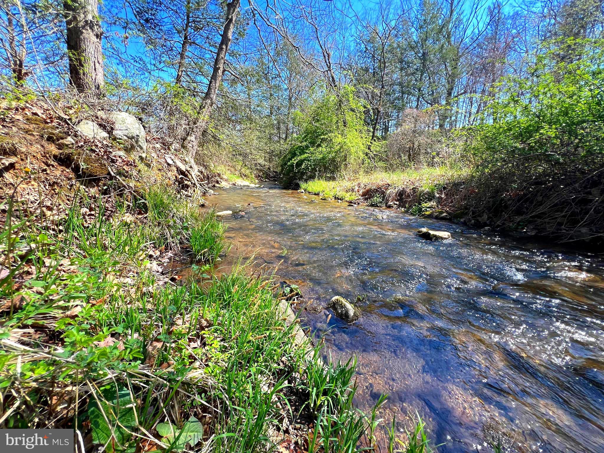 250 LOWER PINE GROVE ROAD