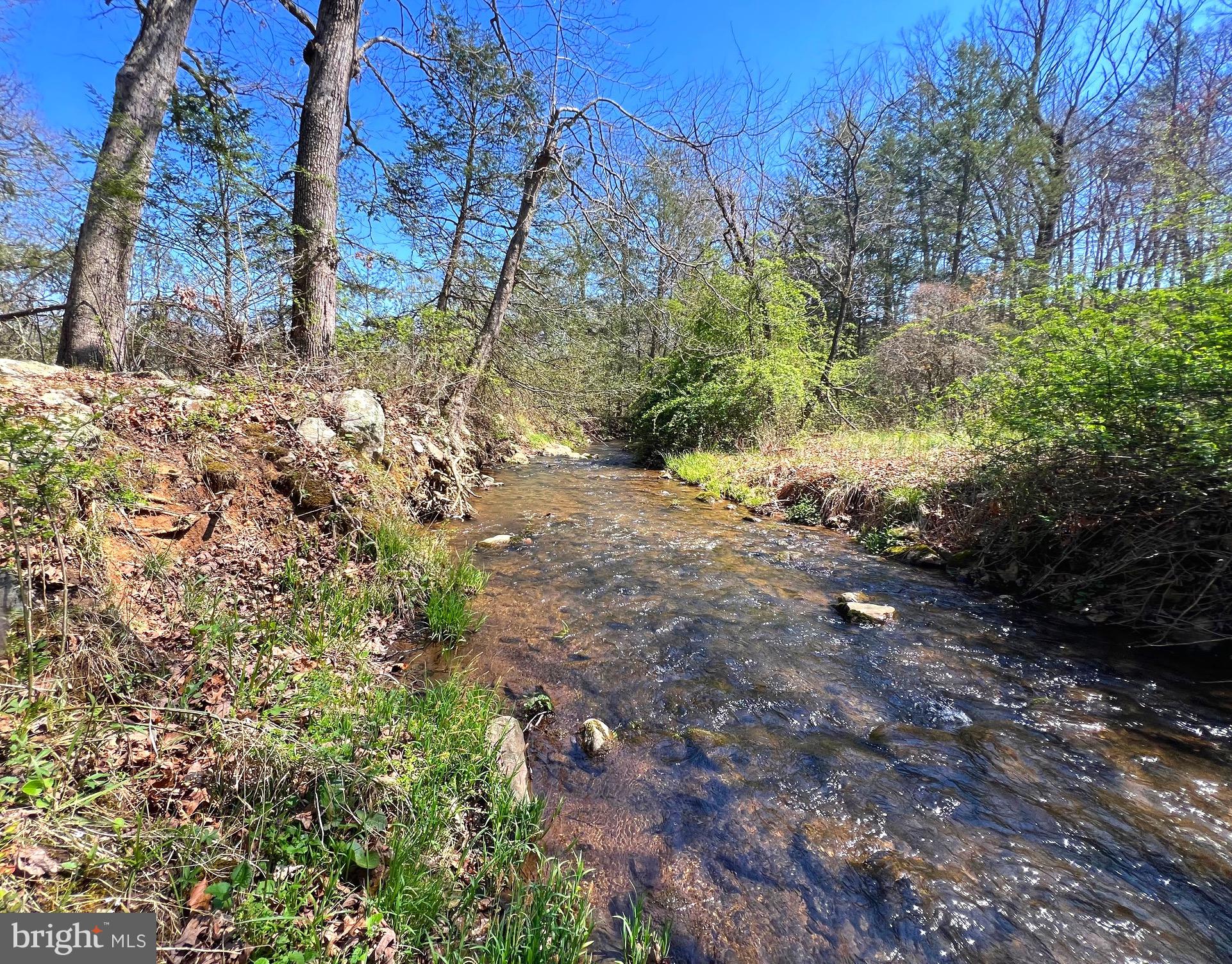 250 LOWER PINE GROVE ROAD