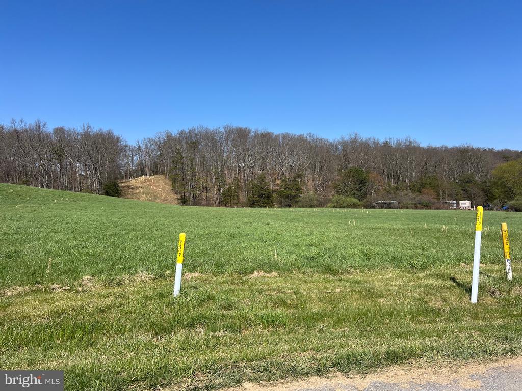 250 LOWER PINE GROVE ROAD