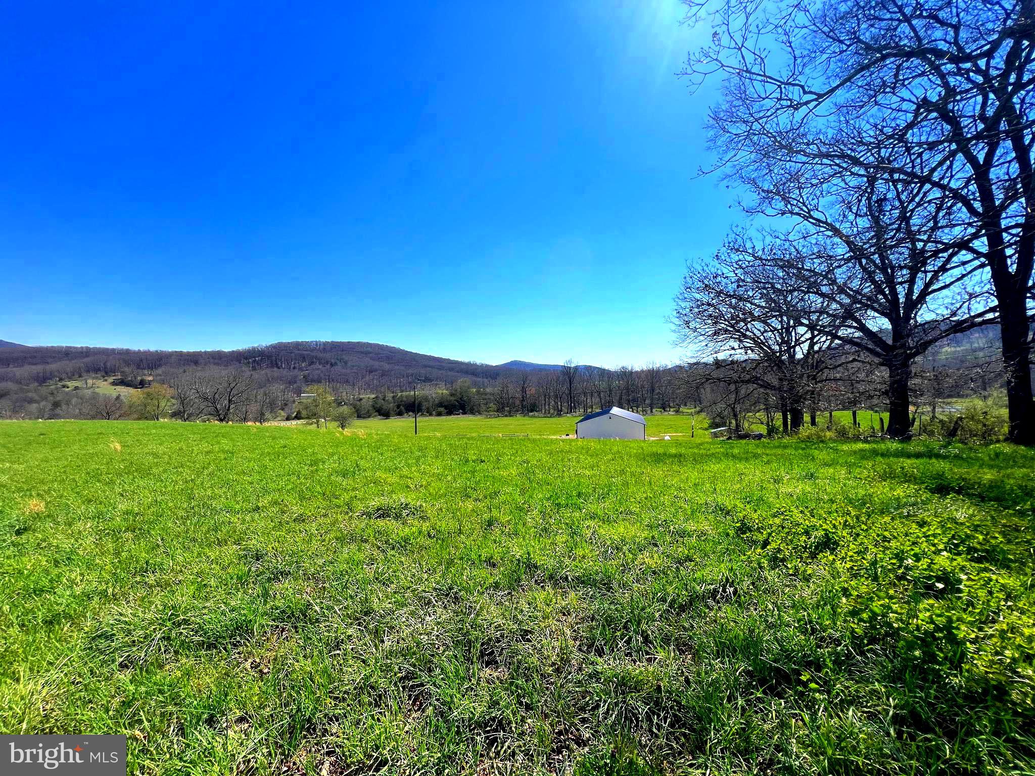 250 LOWER PINE GROVE ROAD