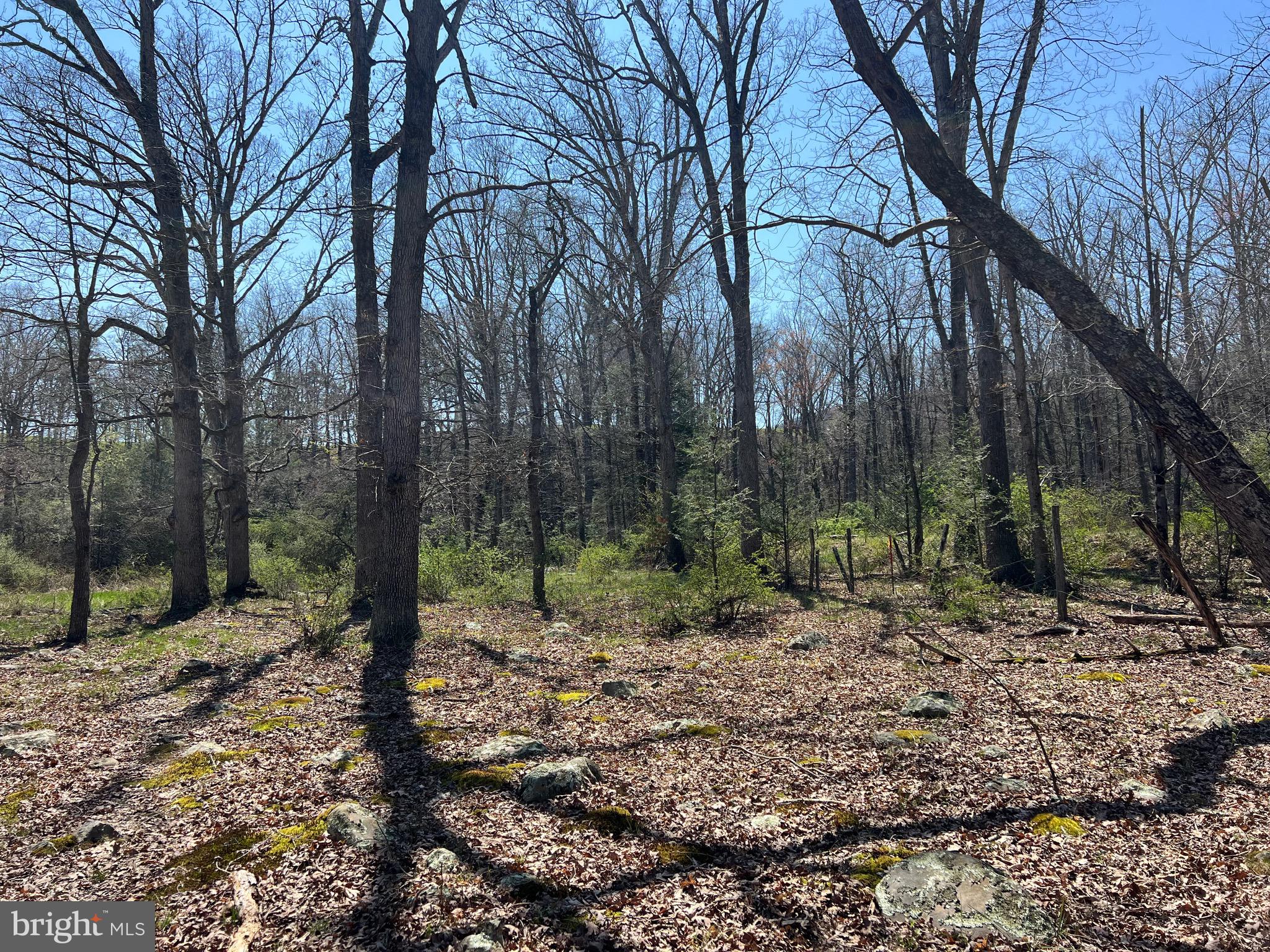 250 LOWER PINE GROVE ROAD