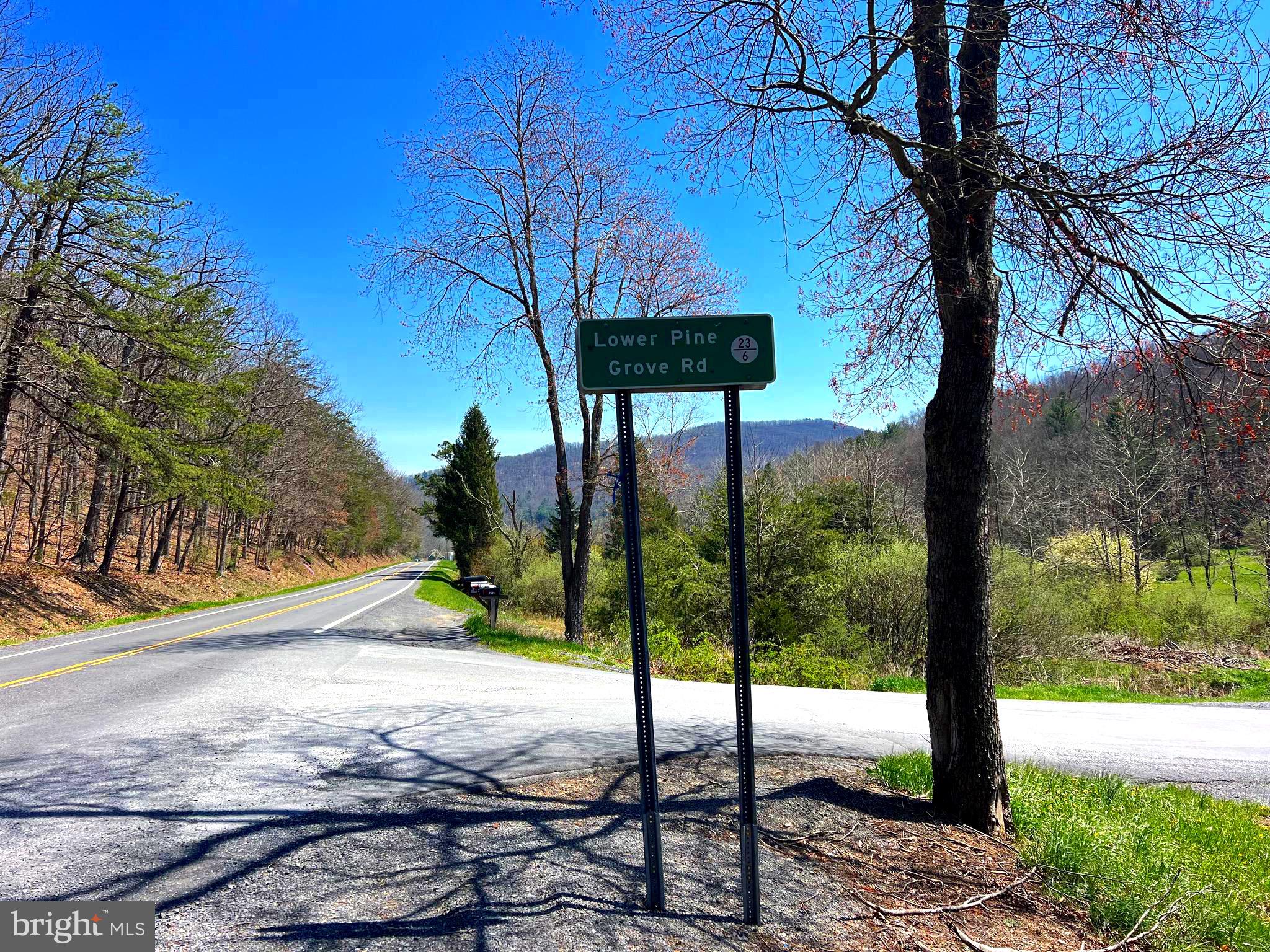 250 LOWER PINE GROVE ROAD