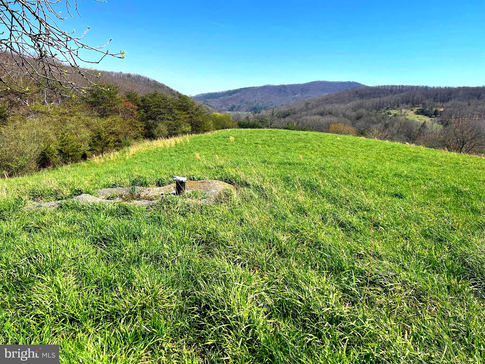 250 LOWER PINE GROVE ROAD