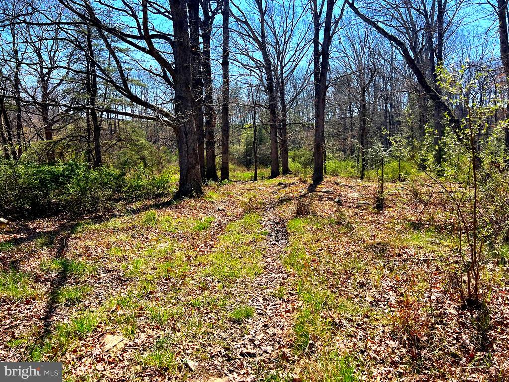 250 LOWER PINE GROVE ROAD