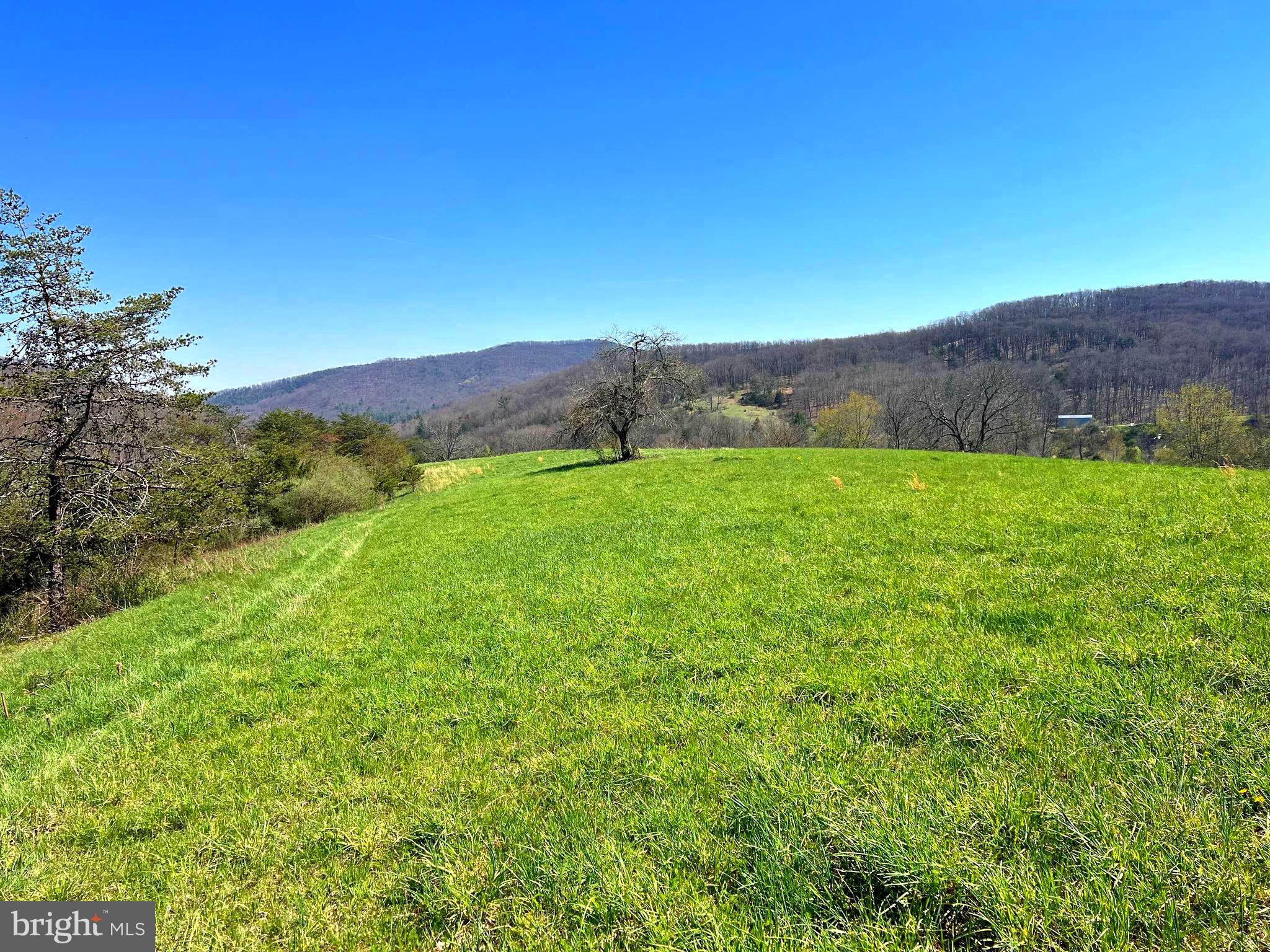 250 LOWER PINE GROVE ROAD