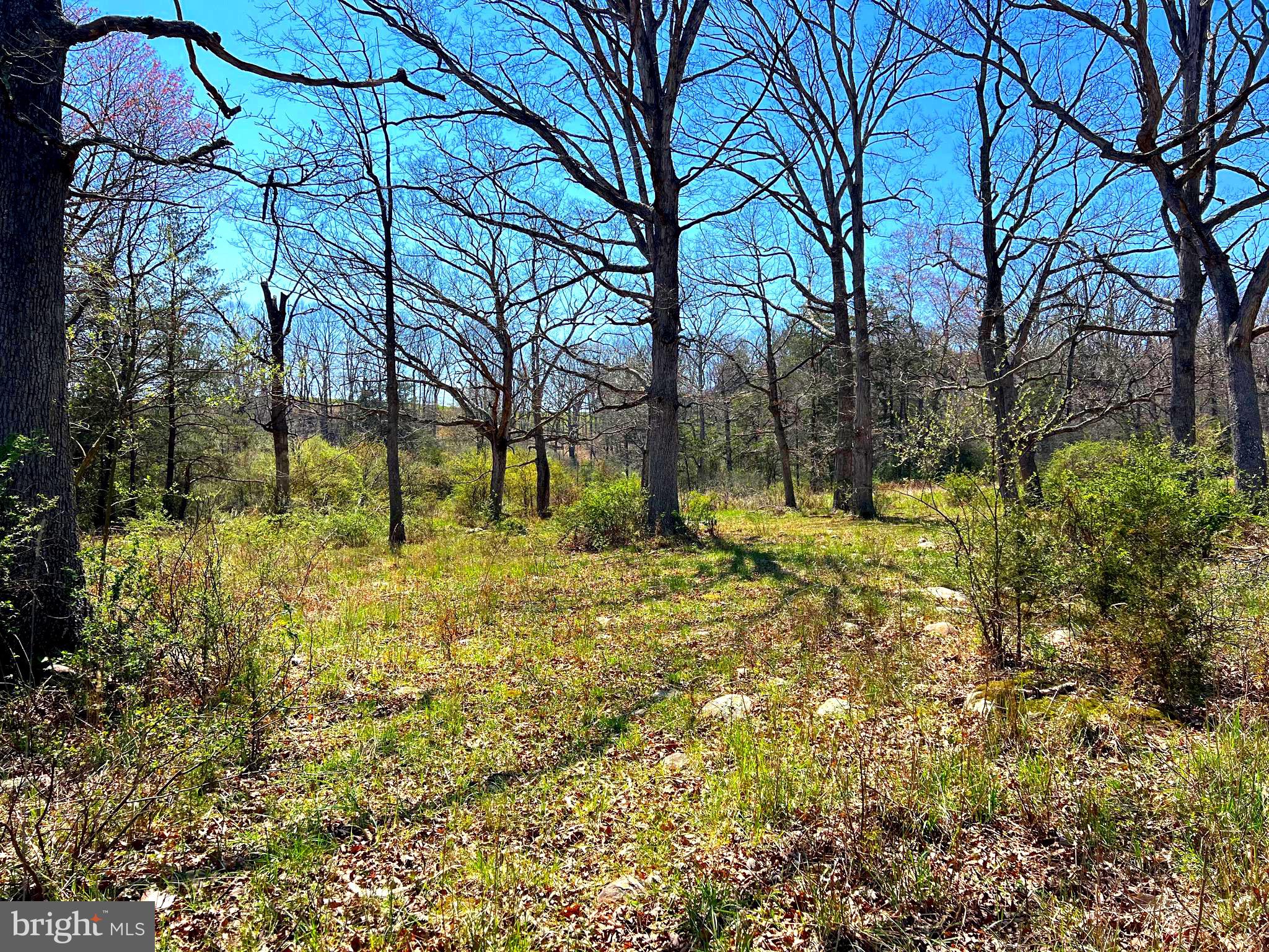 250 LOWER PINE GROVE ROAD