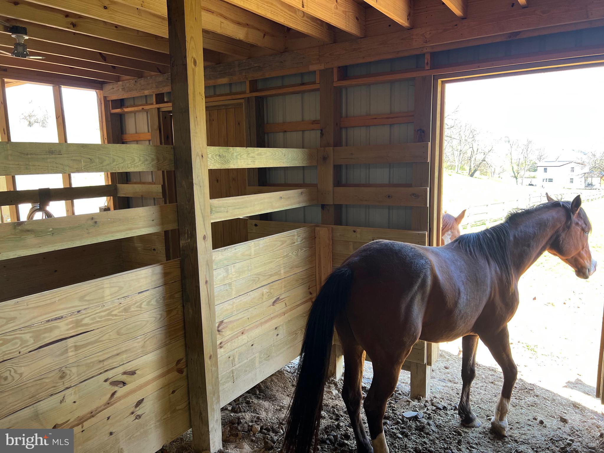 250 LOWER PINE GROVE ROAD