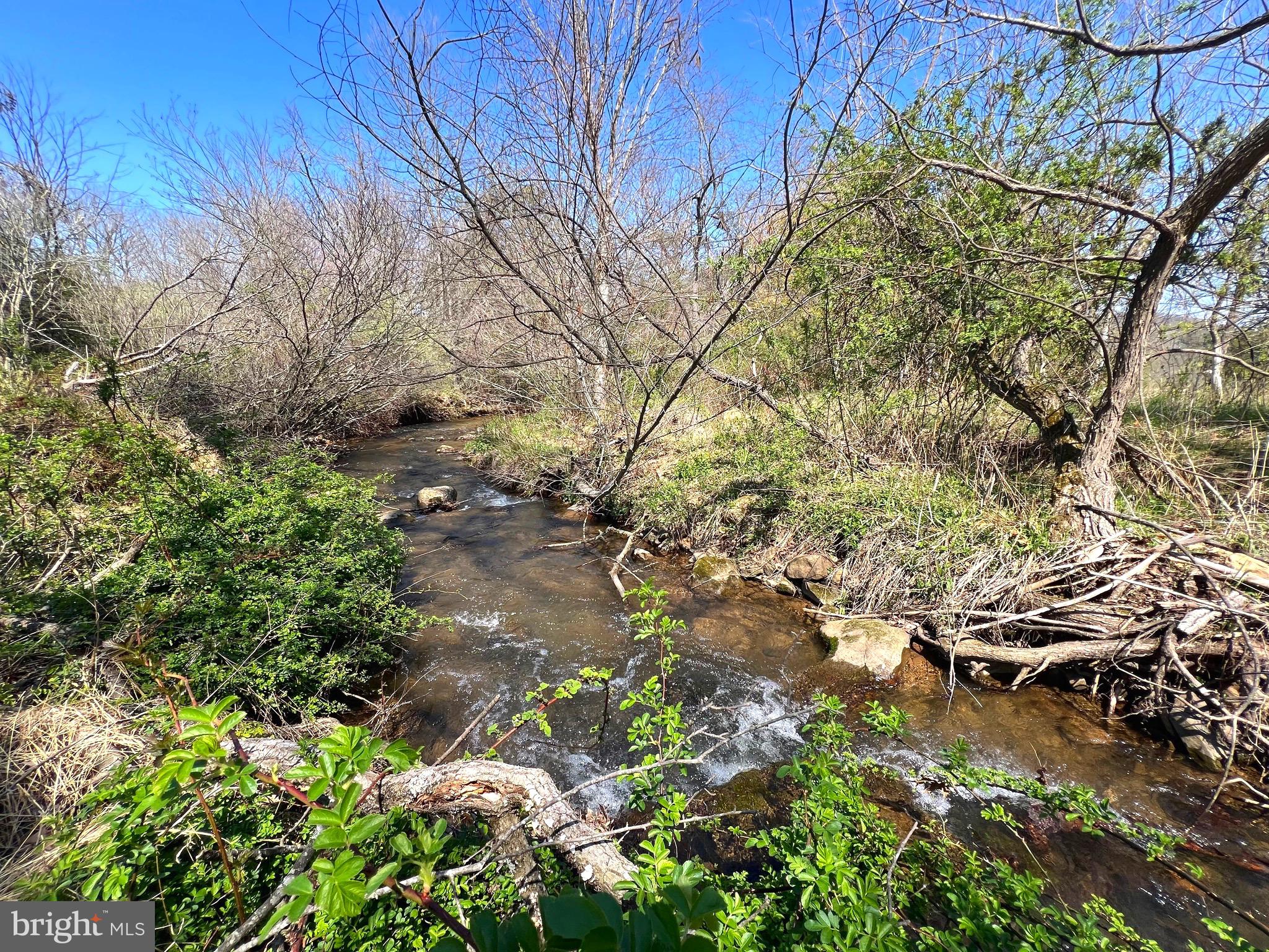 250 LOWER PINE GROVE ROAD