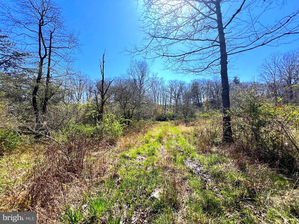 250 LOWER PINE GROVE ROAD