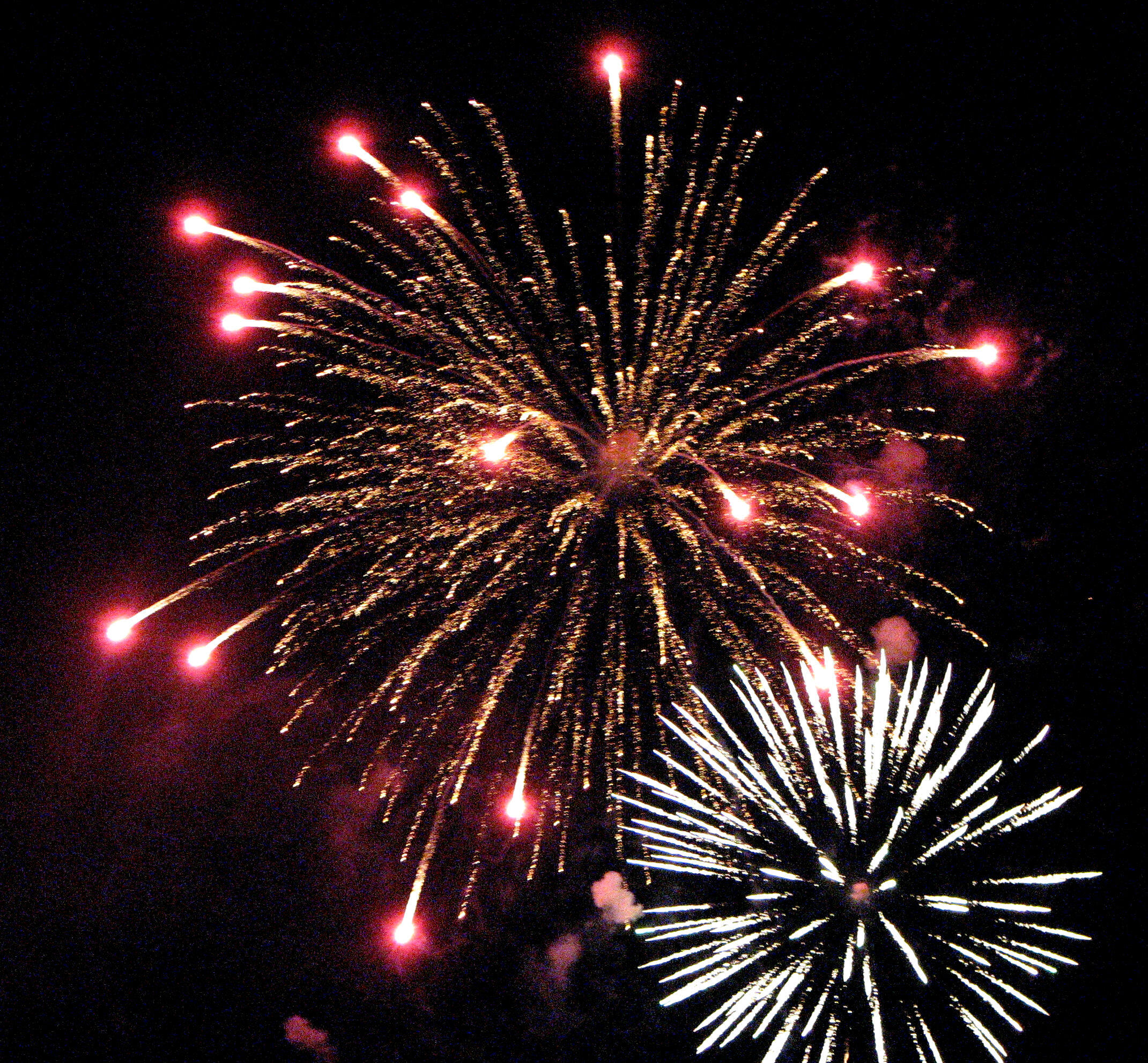 205 N Water St Unit: 404