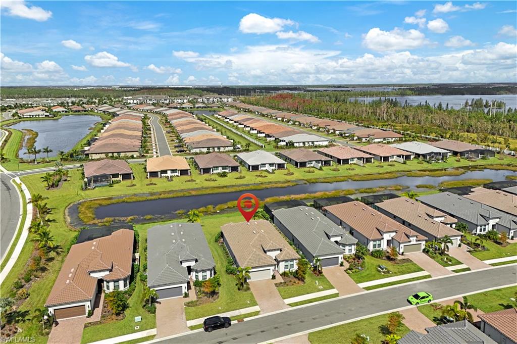 11912 Noveli CT