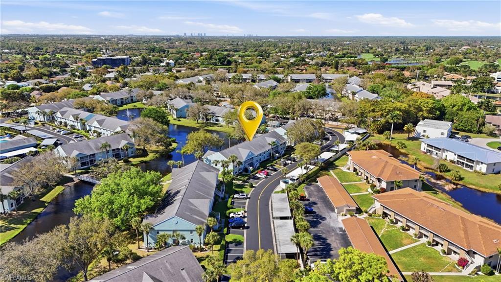 141 Wading Bird CIR G102