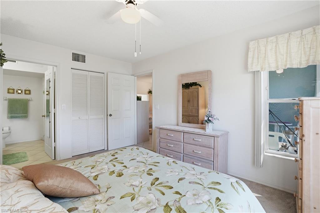 141 Wading Bird CIR G102