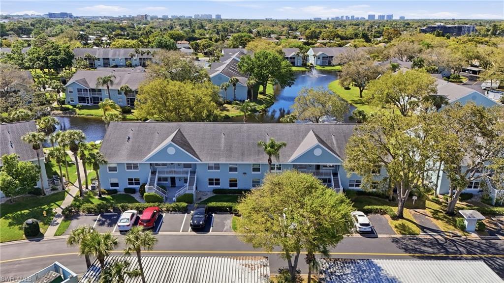 141 Wading Bird CIR G102