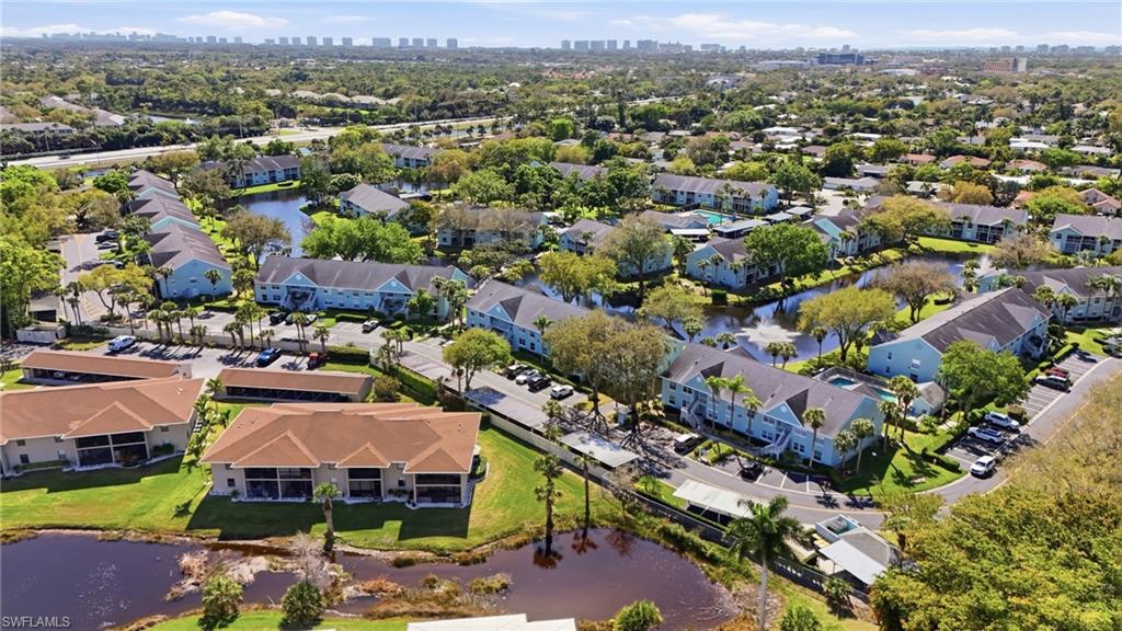 141 Wading Bird CIR G102