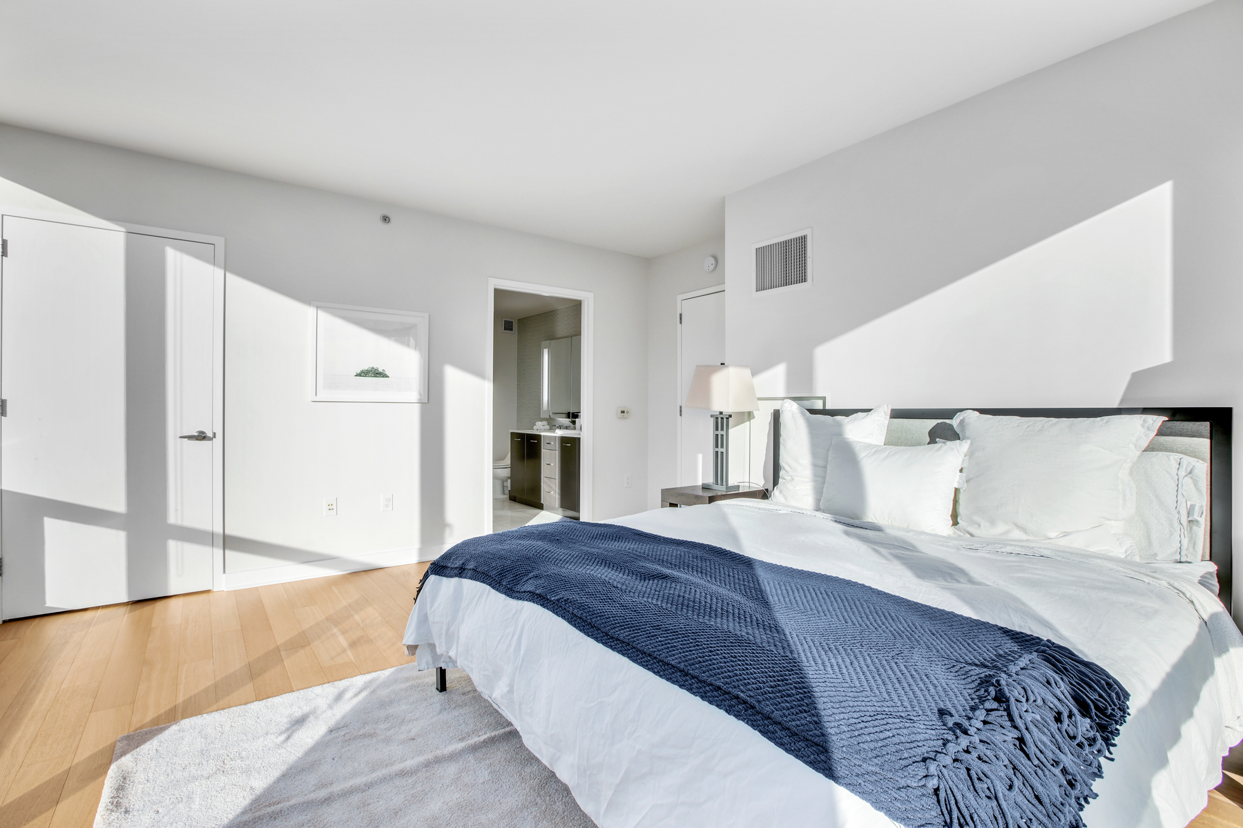 2 2nd Street, Unit 1906