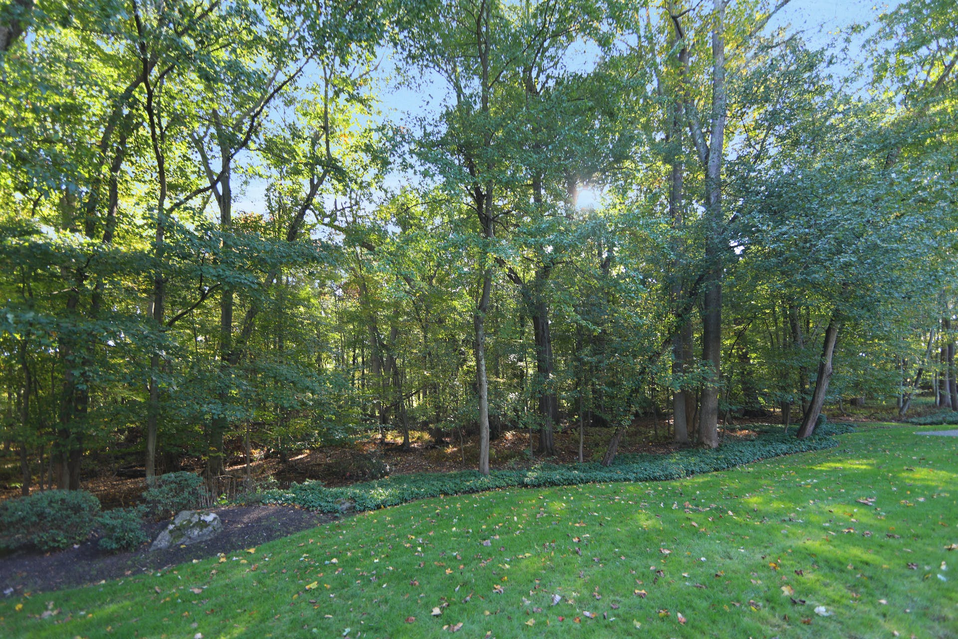 75 Donnybrook Drive