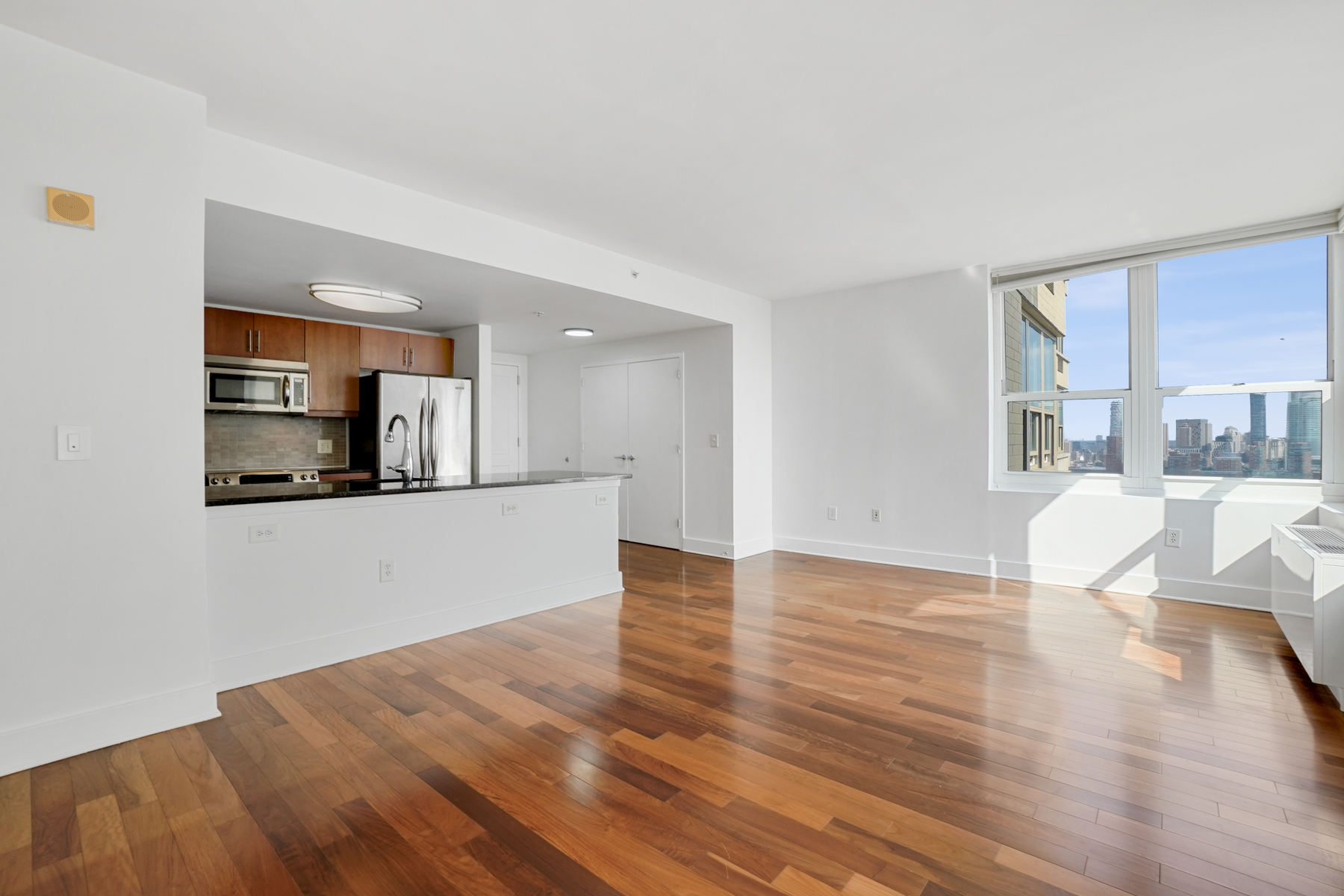 88 Morgan Street, #4308