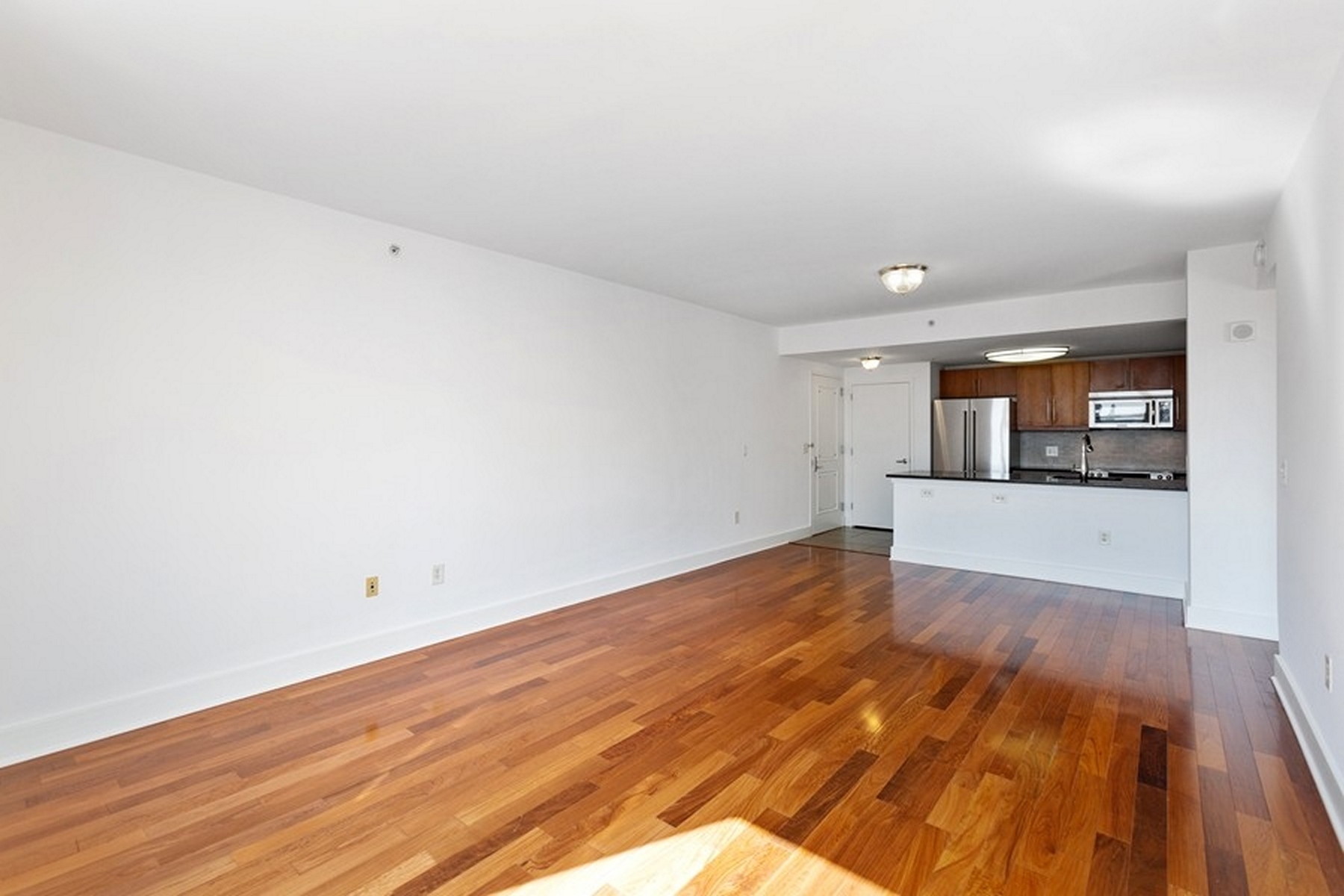 88 Morgan Street, #1907 